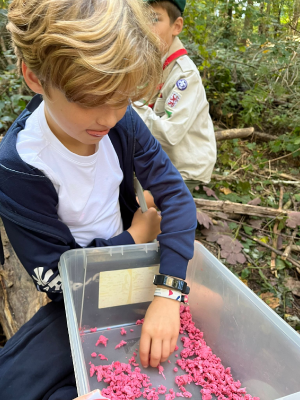 Sint-Martinus den XIIde - september-oktober